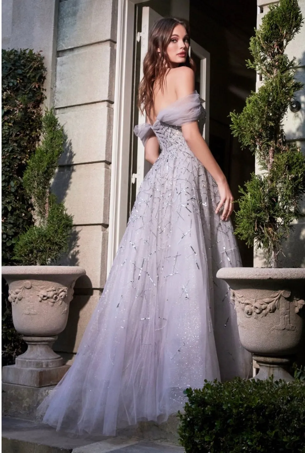 Cinderella Divine B713
