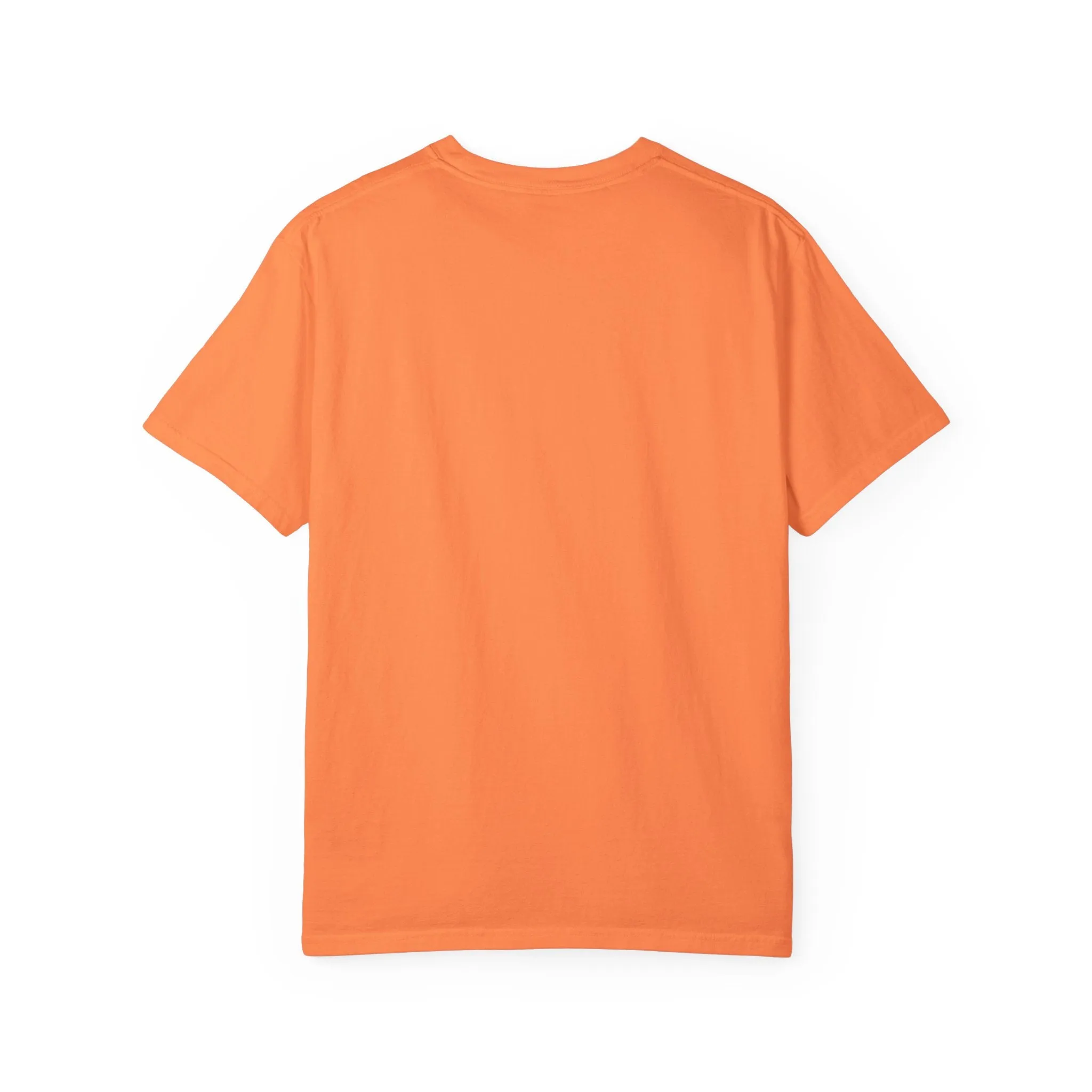House Unisex Garment-Dyed T-shirt
