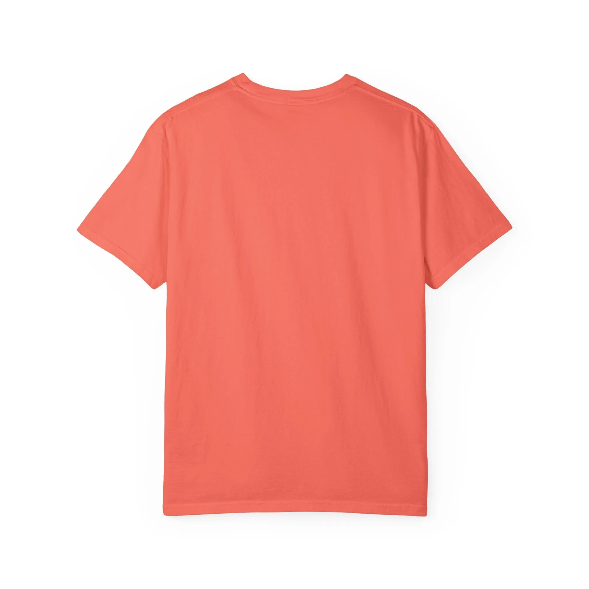 House Unisex Garment-Dyed T-shirt