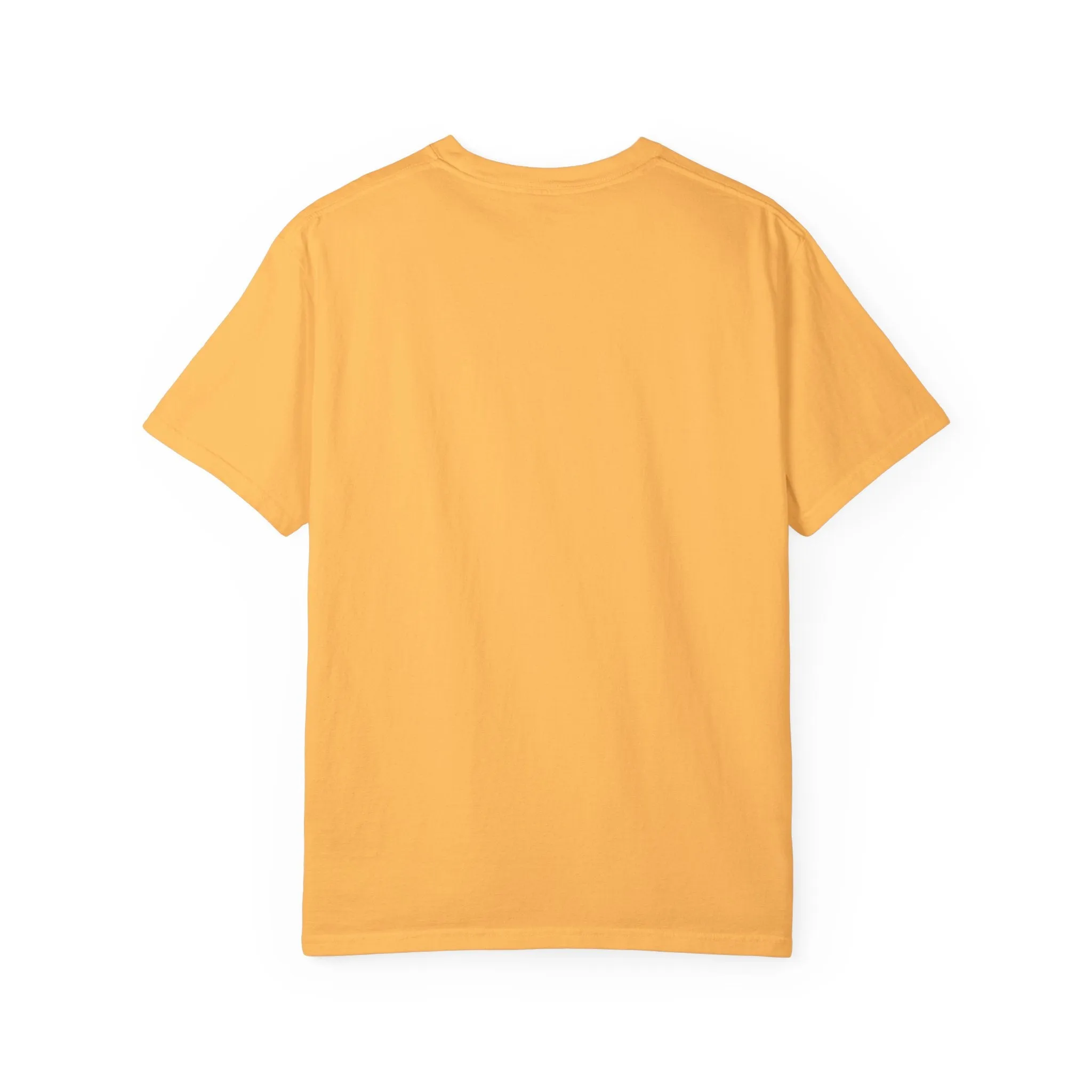 House Unisex Garment-Dyed T-shirt