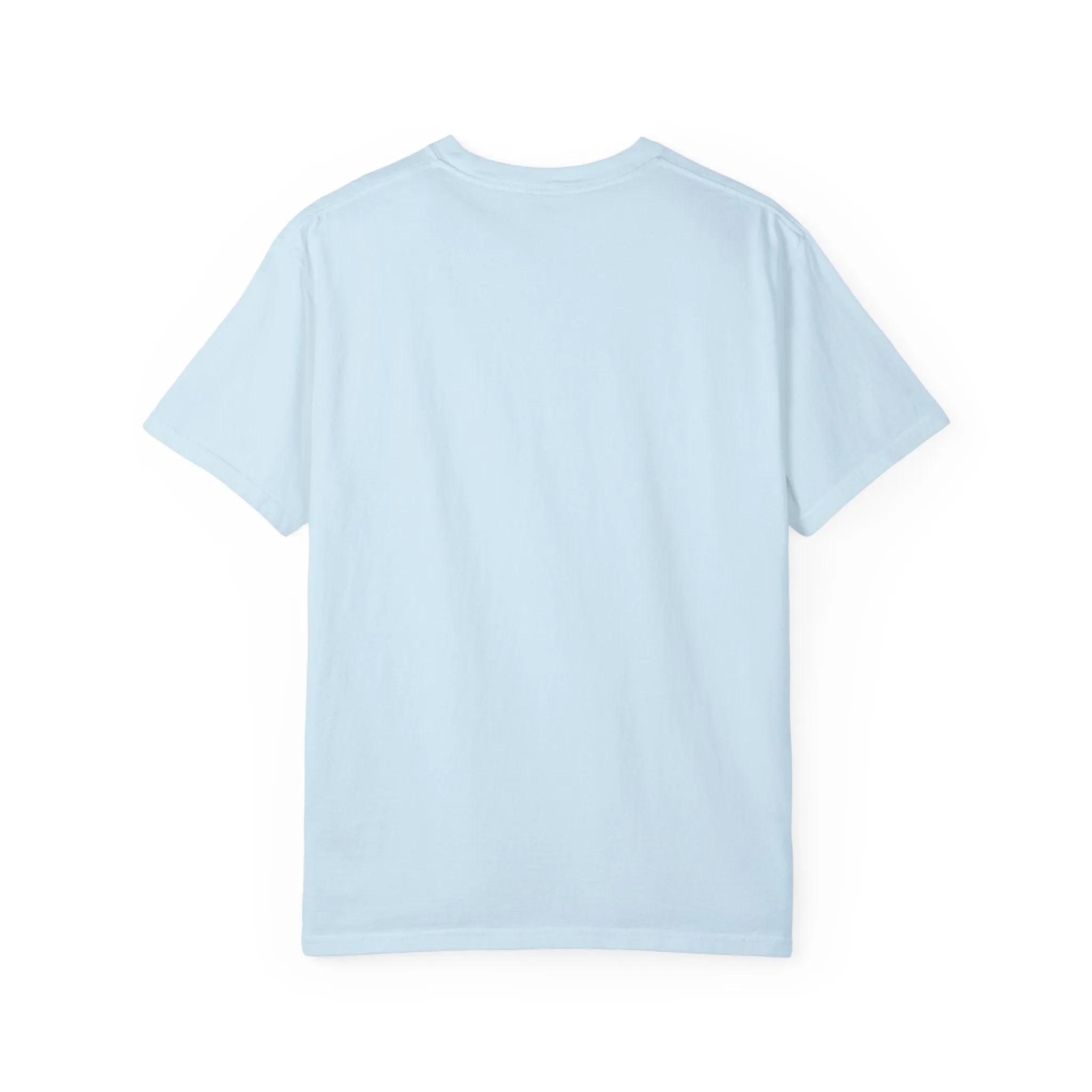 House Unisex Garment-Dyed T-shirt