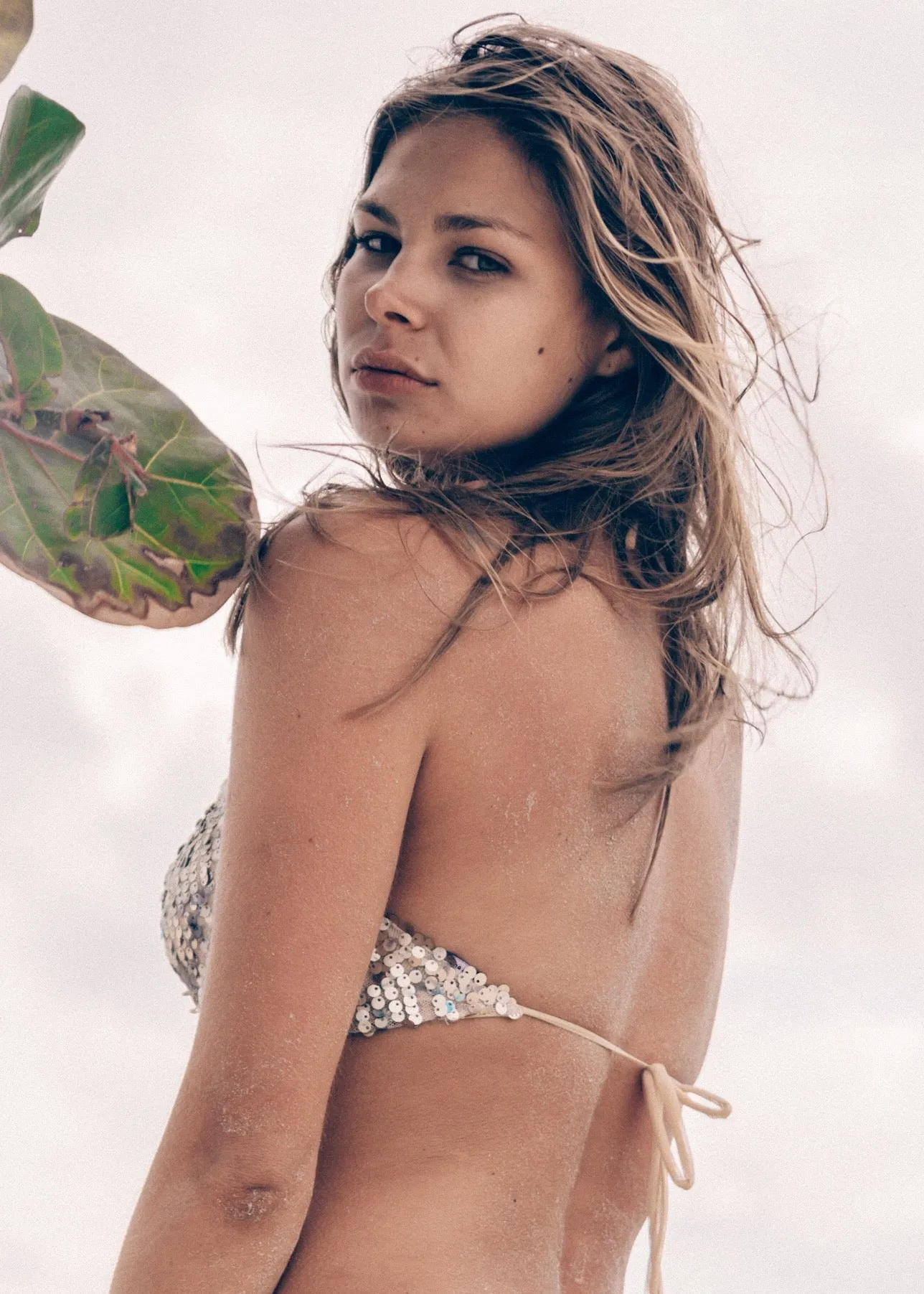 Serene - Crop Top