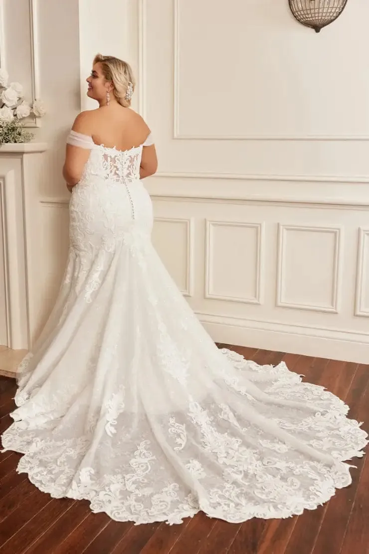 Sophia Tolli: Y22277FI - Harley