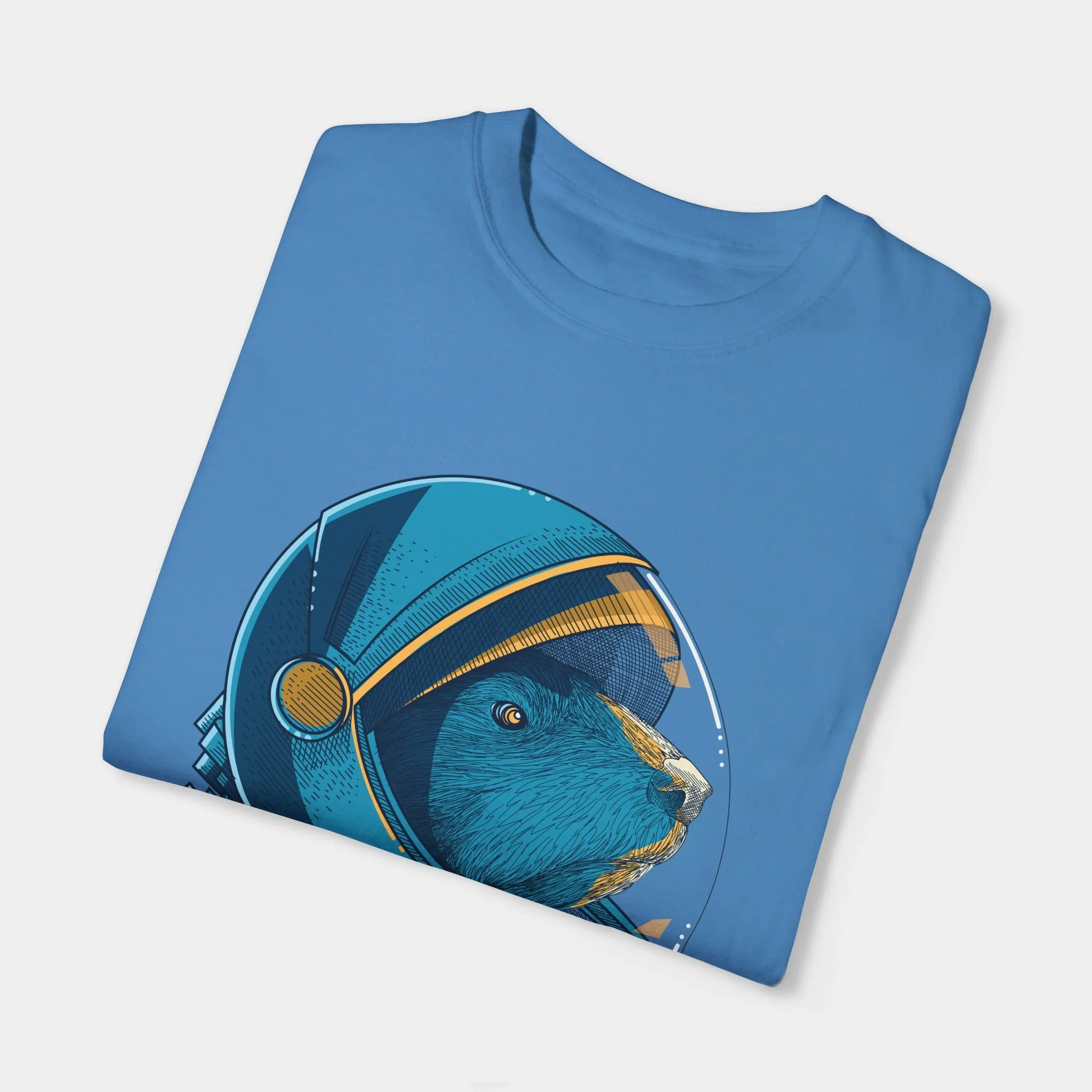 The Cosmic Explorer